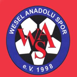 Anadolu Spor